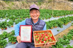 Picture of 最後一家得草莓園